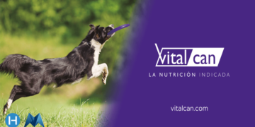 blockchain logistics case study Vitalcan pet food