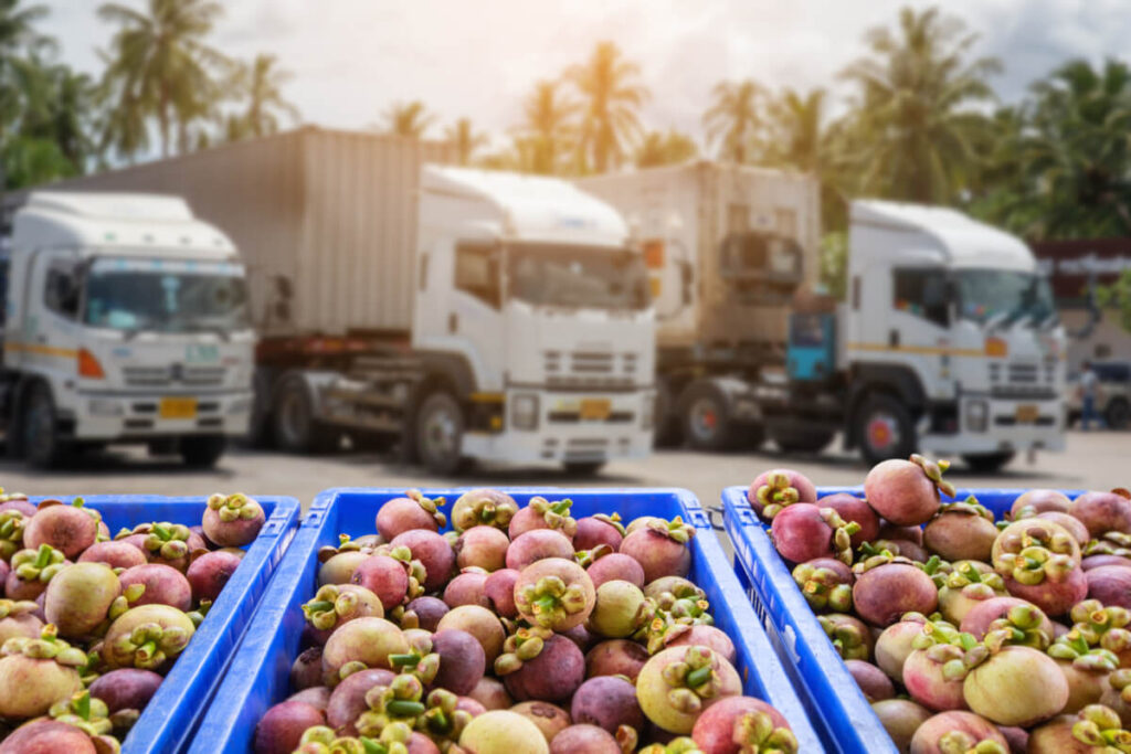 food cold chain