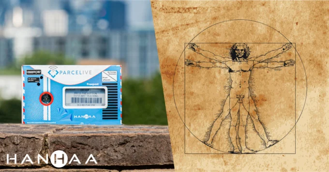 Arterìa: The Vitruvian Man
